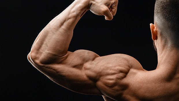 5 Easy Exercises to Strengthen Arms and Shoulder Muscles