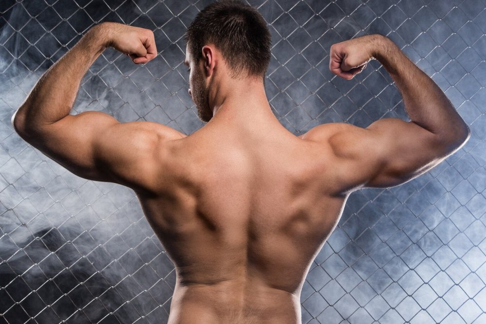 7 Game-Changing Compound Arms Exercises For Adding Muscle & Strength - Gripzilla - The Best Grip and Forearm Strength Exercises, Arm Wrestling Tools, Hand Grippers to Improve Grip Strength