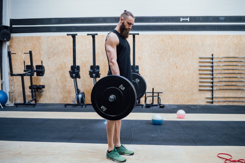 6 Barbell Forearm Exercises For A Well-Rounded Arm Routine - Gripzilla - The Best Grip and Forearm Strength Exercises, Arm Wrestling Tools, Hand Grippers to Improve Grip Strength
