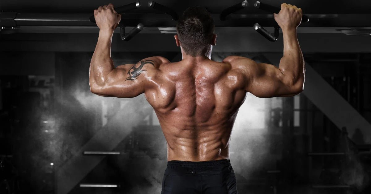 Best Calisthenics Pulling Exercises to Boost Your Strength, Endurance, & Power - Gripzilla - The Best Grip and Forearm Strength Exercises, Arm Wrestling Tools, Hand Grippers to Improve Grip Strength