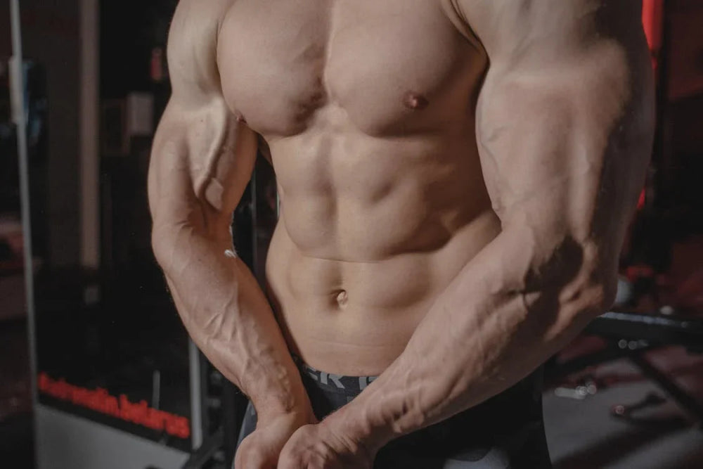 Crush Weak Arms with This 2-Day Arm-Building Workout Plan for Beginners - Gripzilla - The Best Grip and Forearm Strength Exercises, Arm Wrestling Tools, Hand Grippers to Improve Grip Strength