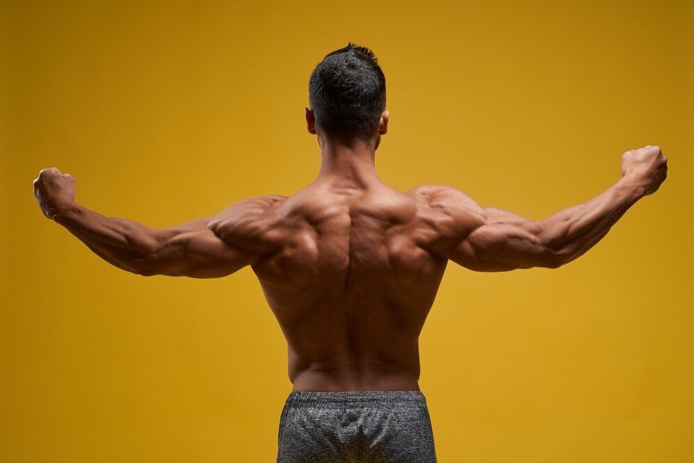 The Best Back Exercises for V Shape Back 