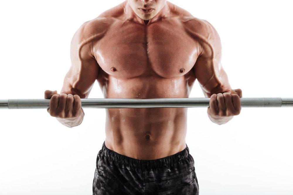 Why Are Triceps So Hard to Build & How to Fix It Fast - Gripzilla - The Best Grip and Forearm Strength Exercises, Arm Wrestling Tools, Hand Grippers to Improve Grip Strength