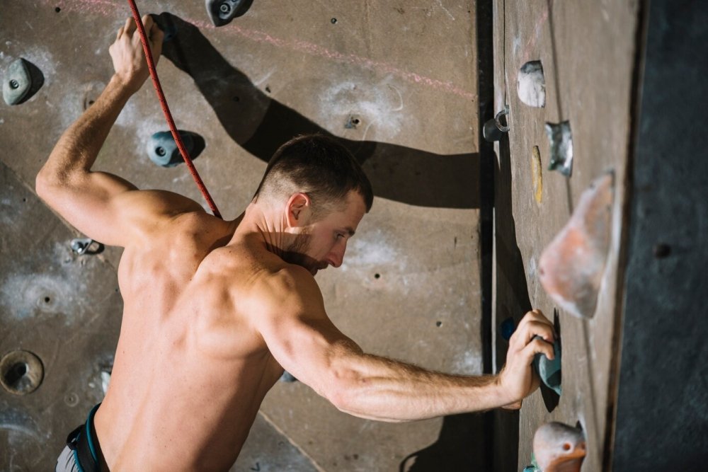 6 Purposeful Arm Workouts For Rock Climbers To Scale New Heights - Gripzilla - The Best Grip and Forearm Strength Exercises, Arm Wrestling Tools, Hand Grippers to Improve Grip Strength