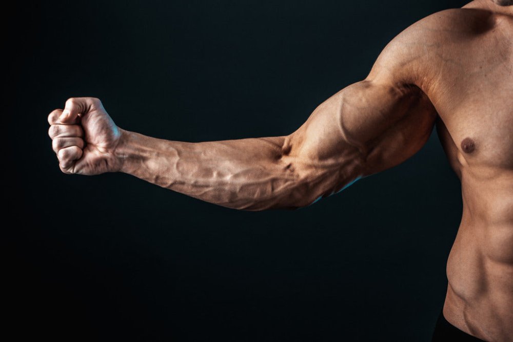 9 Forearm Strength Exercises So Good You’ll Ditch the Gym - Gripzilla - The Best Grip and Forearm Strength Exercises, Arm Wrestling Tools, Hand Grippers to Improve Grip Strength