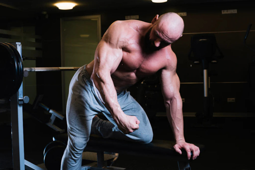 How to Boost Triceps Growth in Just 14 Days (Proven Tips Inside) - Gripzilla - The Best Grip and Forearm Strength Exercises, Arm Wrestling Tools, Hand Grippers to Improve Grip Strength