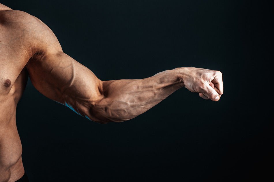 How to Grow Your Biceps in 60 Days (Even Without a Gym) - Gripzilla - The Best Grip and Forearm Strength Exercises, Arm Wrestling Tools, Hand Grippers to Improve Grip Strength