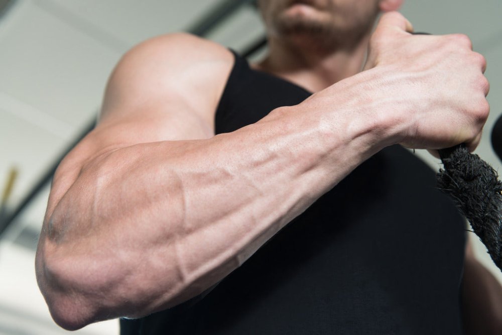 Must-Have Equipment For Arm Veins & Up Your Vascular Game - Gripzilla - The Best Grip and Forearm Strength Exercises, Arm Wrestling Tools, Hand Grippers to Improve Grip Strength