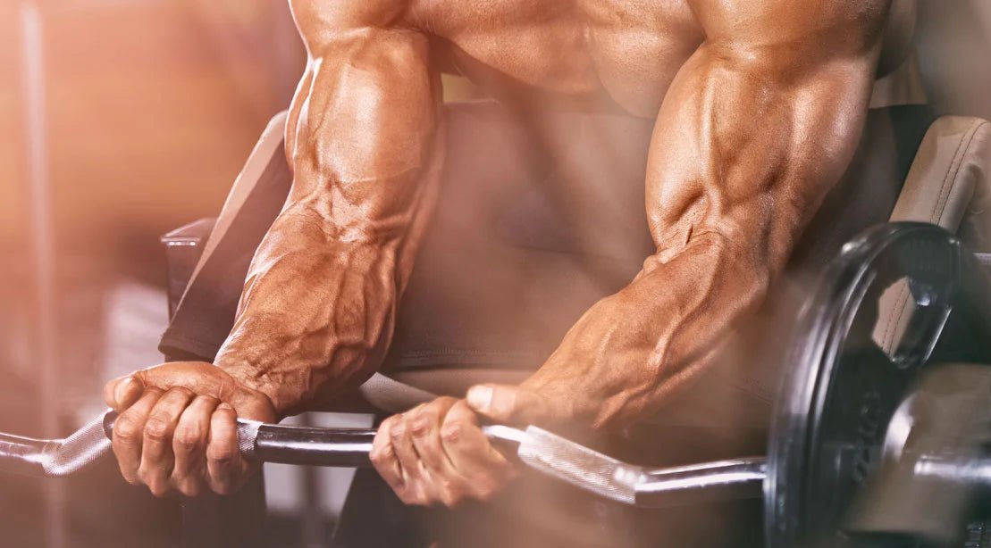 Top 6 Forearm Exercises For Mass To Build Muscular Forearms - Gripzilla - The Best Grip and Forearm Strength Exercises, Arm Wrestling Tools, Hand Grippers to Improve Grip Strength