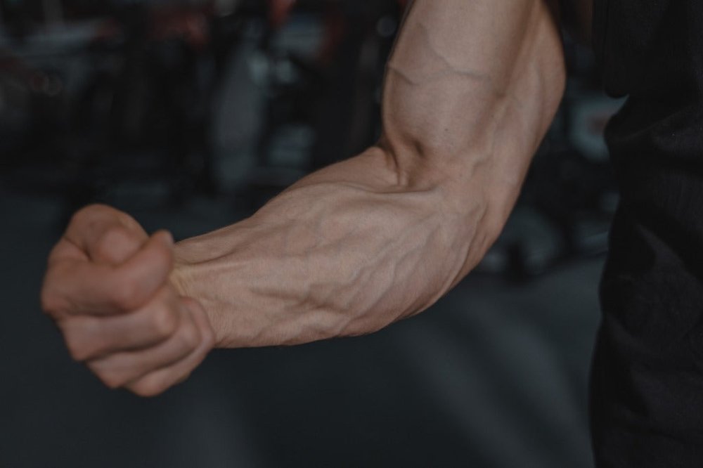 Why Is One Arm Stronger Than the Other (And How to Fix It) - Gripzilla - The Best Grip and Forearm Strength Exercises, Arm Wrestling Tools, Hand Grippers to Improve Grip Strength