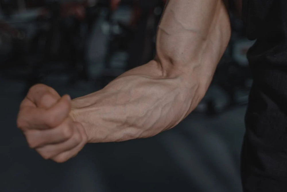 Why My Forearms Are Not Growing Even With Workouts? - Gripzilla - The Best Grip and Forearm Strength Exercises, Arm Wrestling Tools, Hand Grippers to Improve Grip Strength