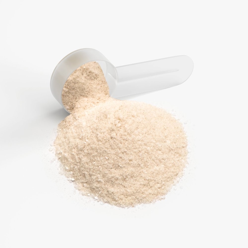 Hydration Powder (Lemonade) - Gripzilla - The Best Grip and Forearm Strength Exercises, Arm Wrestling Tools, Hand Grippers to Improve Grip Strength